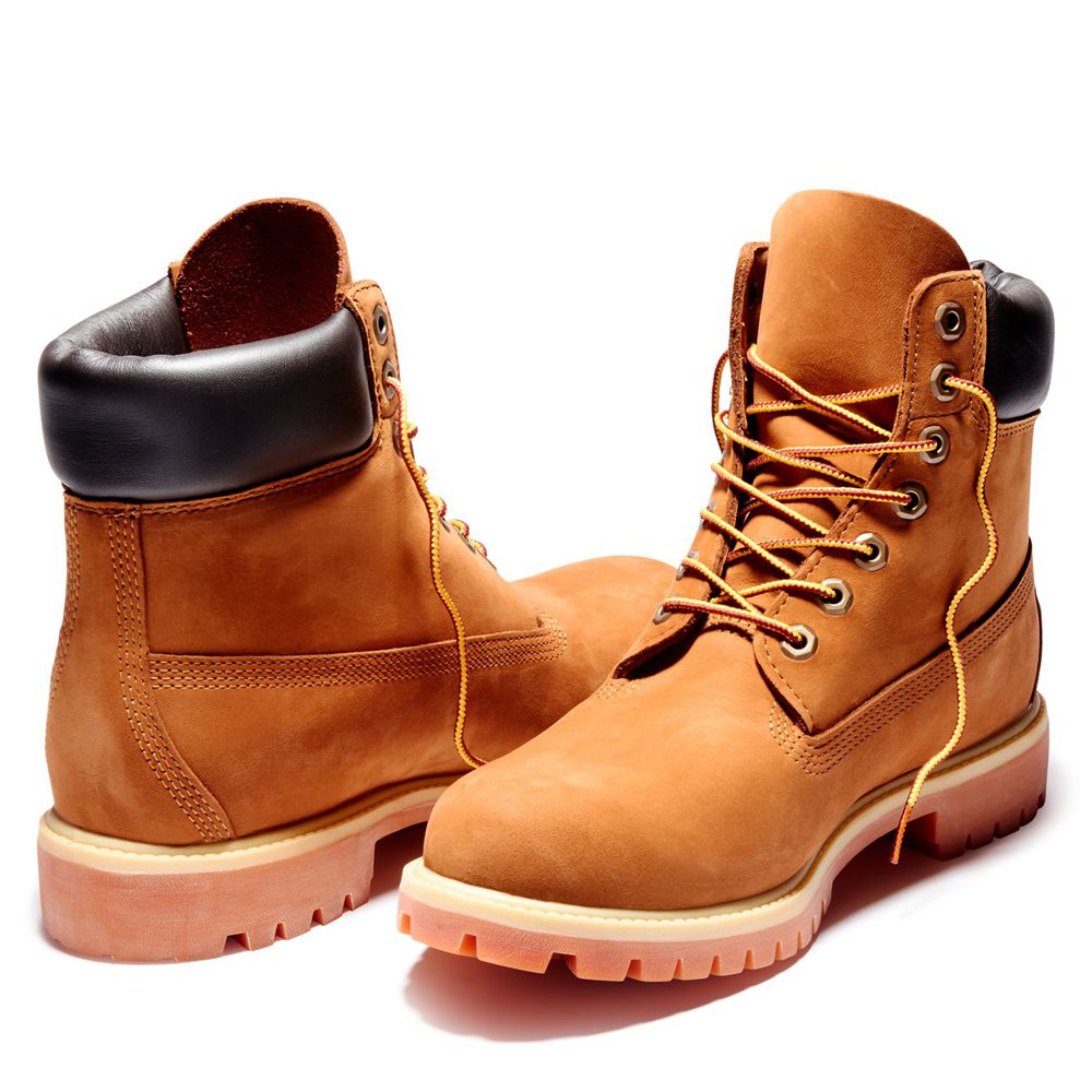 Bota Neve Masculino - Timberland 6-Inch Premium Impermeavel - PAMVH0876 - Marrom